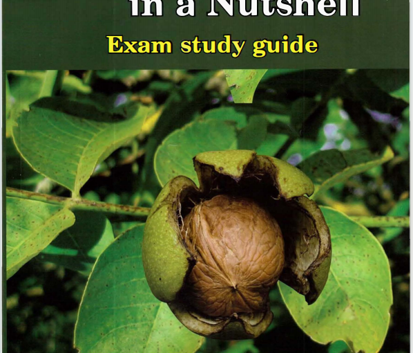 IB经济学教材下载《IB Economics in a Nutshell》